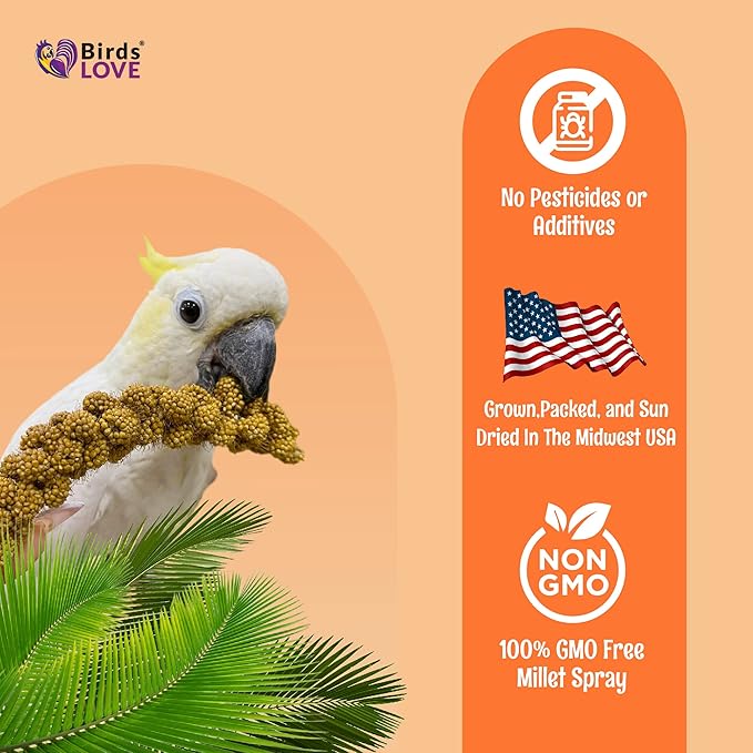 Birds LOVE Spray Millet – 1 lb GMO-Free, No Stems (Edible Tops Only) – Healthy Treat for Cockatiels, Lovebirds, Parakeets, Finches & Canaries