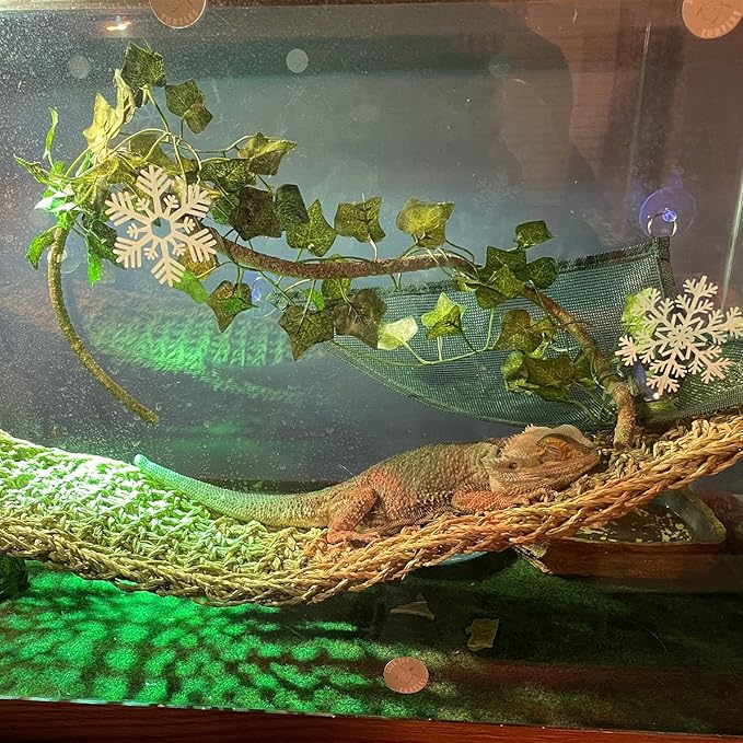 kathson Reptile Hideout Wooden Bridge Bearded Dragon Hammock Reptiles Jungle Climbing Vines Flexible Leaves Bearded Dragon Accessories for Lizard Gecko Chameleon Snake Hamster(5 Pcs)