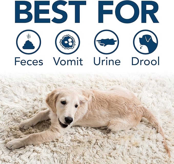 Simple Solution Stain & Odor Eliminator for Pets, Carpet Deodorizer, Enzyme Pet Odor Eliminator for Home, Stain Remover for Cat & Dog Pee, Urine Destroyer, Carpet Cleaner Spray, Spring Breeze, Gallon
