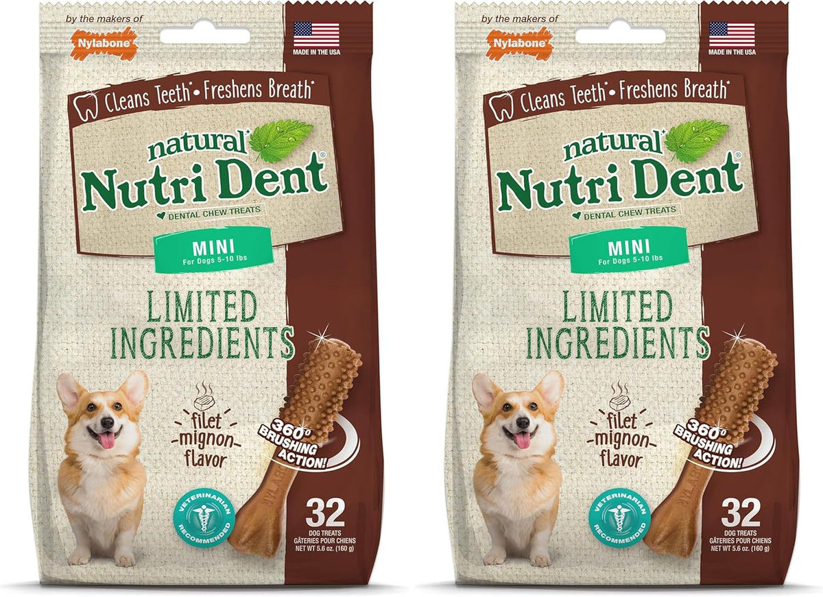 Nylabone Nutri Dent Dog Dental Chews - Natural Dog Teeth Cleaning & Breath Freshener - Dental Treats for Dogs - Filet Mignon Flavor, Mini (32 Count) (Pack of 2)