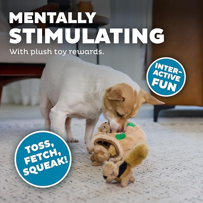 Outward Hound Hide-A-Squirrel Dog Toy – Interactive 2‑in‑1 Plush Puzzle with 3 Squeaky Removable Squirrels, Small