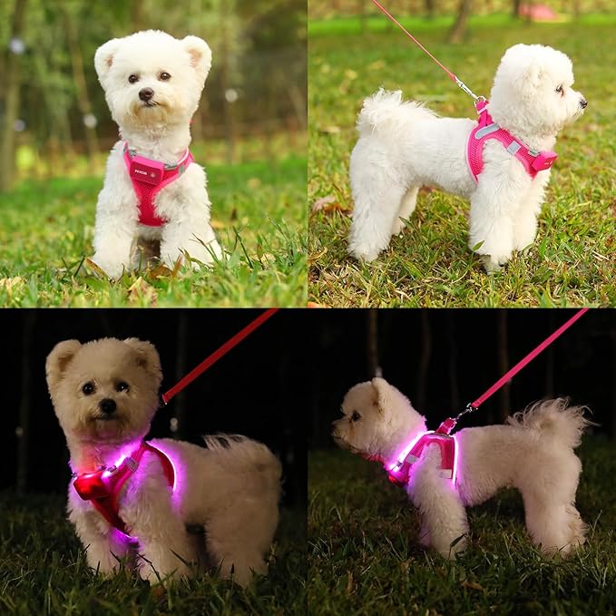 Light Up Dog Harness,Rechargeable LED Dog Harness for Small Medium Large Dogs,Reflective Lighted Safety Vest for Night Walking & Camping,Lightweight & Adjustable,Pink,L