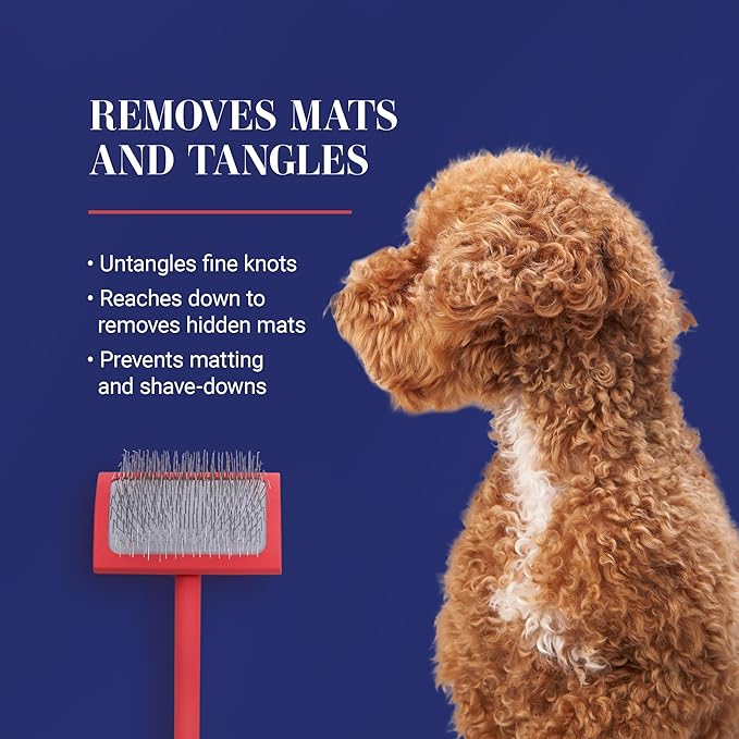 Chris Christensen Baby G Dog Slicker Brush for Dogs (Goldendoodles, Labradoodles, Poodles), Groom Like a Professional, Fluff Detangle Style, Saves Time Energy, Coral, Small