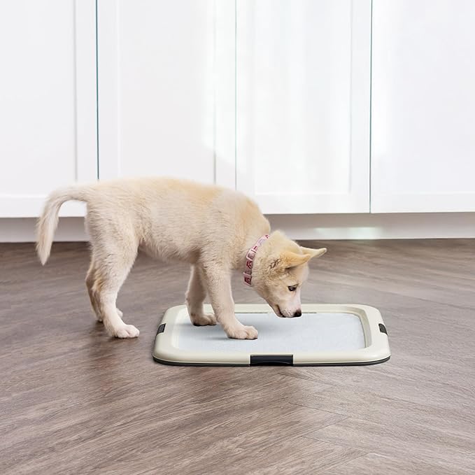 IRIS USA Pee Pad Holder for Puppy Training, Secured Latches, Non-Skid Feet, Fits 22"x22" Pads, Dark Gray + 100 Puppy Pads, Leak Proof, Quick Dry, 6-Layer Absorbent Design, 22"x22"