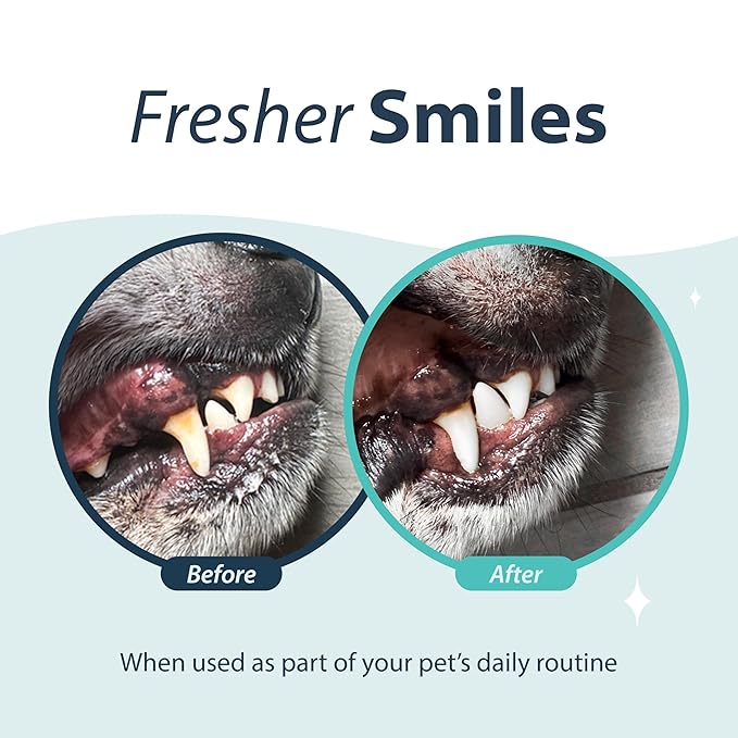 Dental Fresh Water Additive for Dogs, Original Formula, 8oz – Cat & Dog Breath Freshener and Teeth Cleaning for Dental Care for Pets – Add to Water