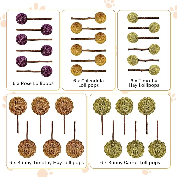 Fhiny Rabbit Chew Toys, 30 PCS Natural Bunny Lollipop Chew Sticks Handmade Guinea Pig Molar Treats for Teeth Small Animals Snacks for Guinea Pig Bunny Chinchilla Hamster Gerbil Teeth Care