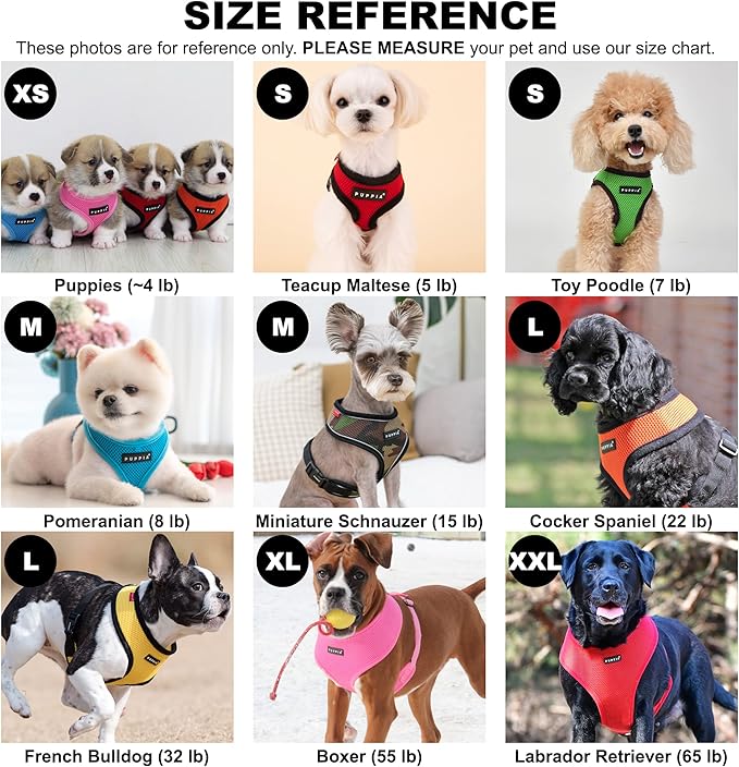 Puppia Soft Dog Harness No Choke Over-The-Head Triple Layered Breathable Mesh Adjustable Chest Belt and Quick-Release Buckle, Sky Blue, X-Small