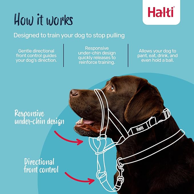 Halti Headcollar - Stop Your Dog Pulling on the Leash. Adjustable, Reflective and Lightweight, with Padded Nose Band. Dog Training Anti-Pull Collar for Small Dogs (Size 0, Black)