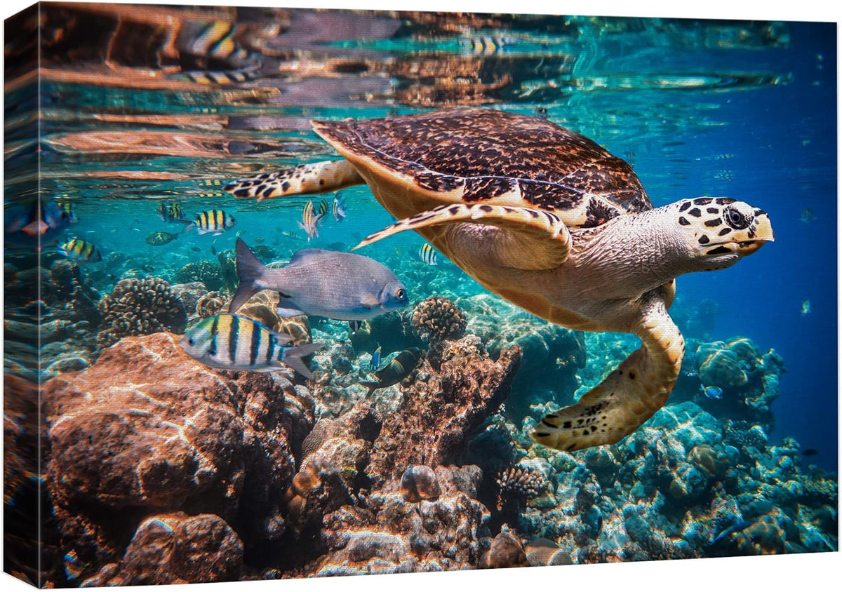 wall26 Canvas Print Wall Art Tropical Turtle Coral Reef Deep Sea Dive Nature Animals Photography Realism Rustic Scenic Landscape Wilderness Earth Colorful for Living Room, Bedroom, Office - 16"x24"