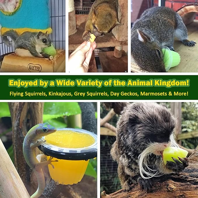 Nectar Pods (Mango) - Calcium-Fortified Jelly Fruit Treat - Sugar Gliders, Marmosets, Squirrels, Parrots, Cockatiels, Parakeets, Lovebirds, Conures, Hamsters, Day Geckos, Kinkajous & Other Small Pets