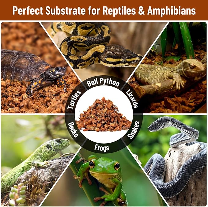 Riare 6 Pack Natural Coconut Chip Substrate for Reptiles- Compressed Coconut Husk Reptiles Bedding, Coco Husk Chip Terrarium Substrate for Snakes, Tortoises, Ball Python, Frogs, Bearded Dragon, Lizard