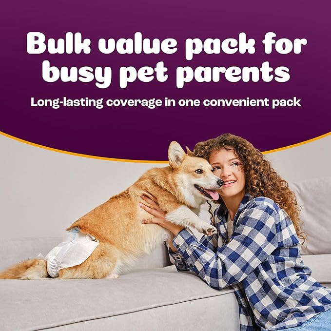 Inspire Pet Care Dog Diapers Female Dogs | Bulk Value Doggie Incontinence, Accidents, for Heat, Pee or Period and Housebreaking (Medium (48 Count))