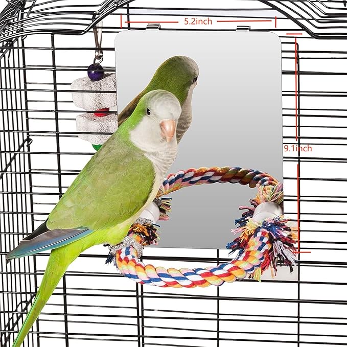 Colorday 7" Bird Mirror with Rope Perch, Bird Swing, Parrot Cage Toys for Parakeet African Grey Conure Cockatiel Lovebird Finch Canarie, Medium