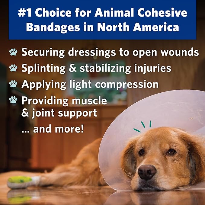 PetFlex No Chew – Flexible Self-Adhering Elastic Bandage for Wound Care – First Aid Wrap for Small Animals Like Dogs, Cats, and Other Pets - 2 inch, 2 Rolls