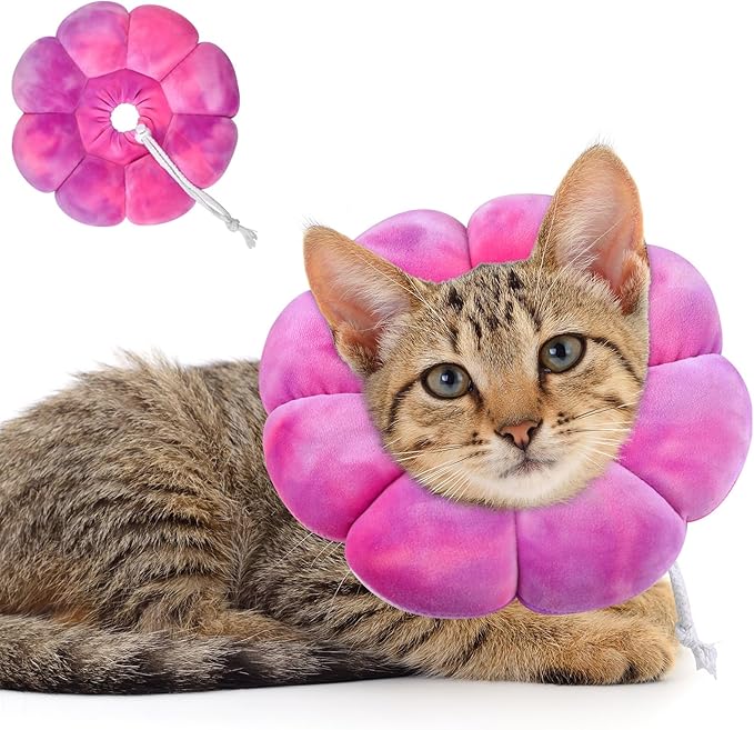 Dog Cat Surgical Recovery Cone Dog Protective Collar, Pet Recovery E-Collar Soft Neck Cone to Stop Licking Wound for Cats & Kittens Small Dog After Surgery