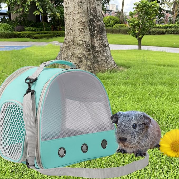 Guinea Pig Carrier,Guinea Pig Carrier for 2,Ventilation Carrier for Bearded Dragon,Reptile Travel Carrier for Lizards Sugar Glider Hedgehog Rat Parrot Birds,Airline Approved Green