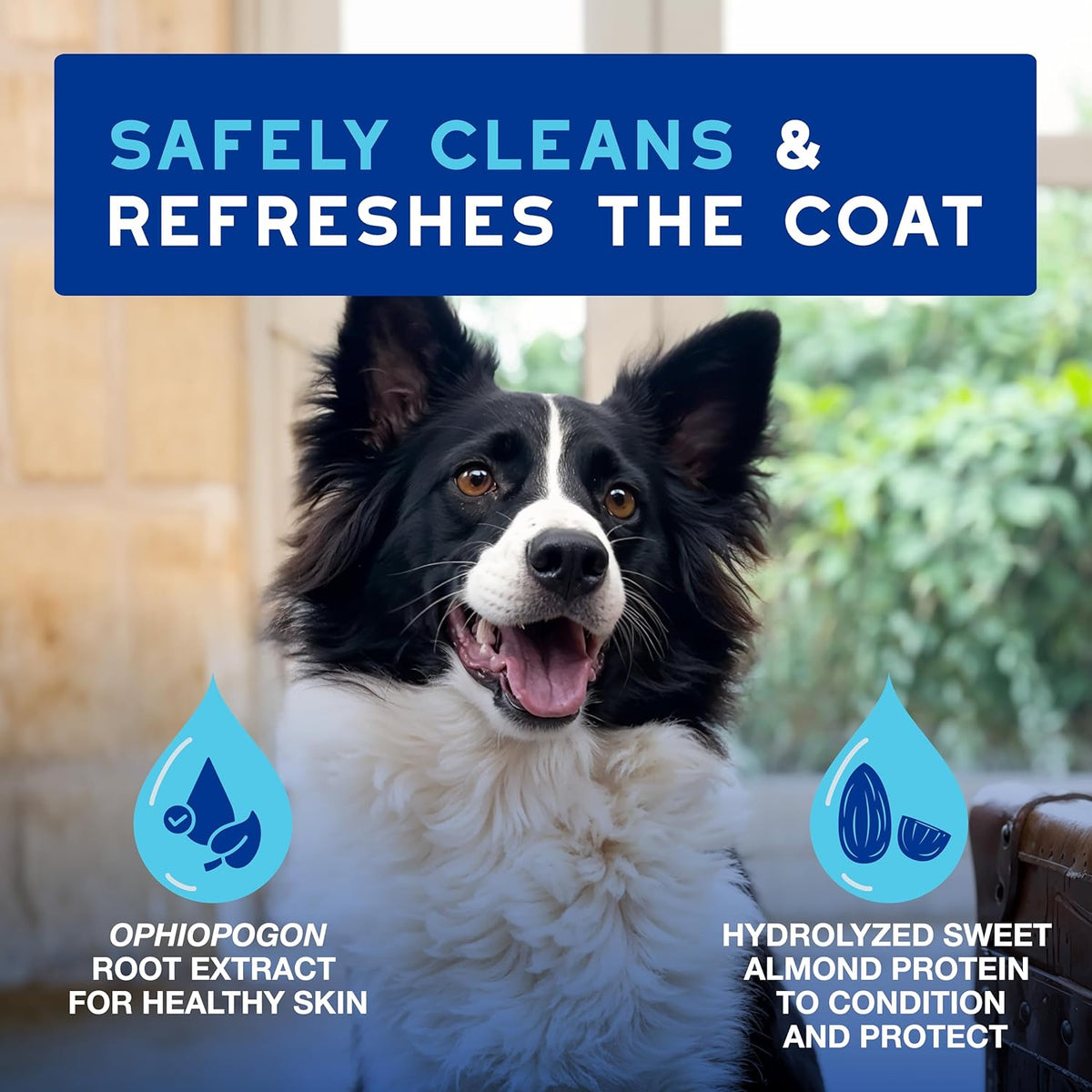 DOUXO® Skin & Coat SPA - Ultra-Safe Quick Refresh Leave-on Mousse for Dogs, 10 fl oz, Safely Cleans and Refreshes, Leaves The Coat Soft, Radiant and Smelling Great, Skin-Friendly Formula