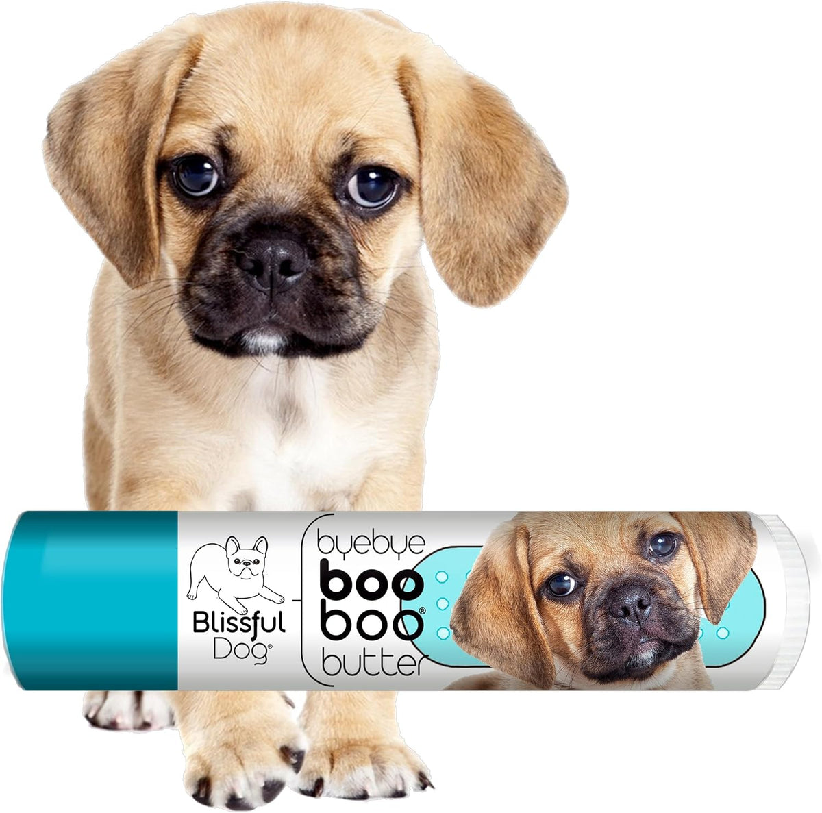 The Blissful Dog Puggle Boo Boo Butter, 0.15-Ounce