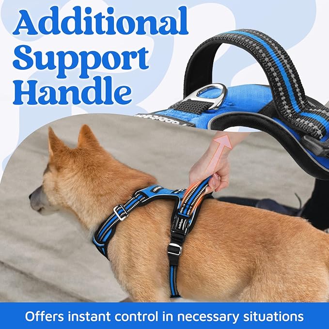 rabbitgoo Dog Harness for Large Dogs, No Pull Pet Vest with 3 Buckles, Adjustable Soft Padded Pet Harness with Easy Control Handle and Reflective Strips, Blue, L