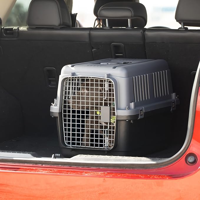 SportPet Airline Approved Wire Door Travel Dog Crate, Durable Plastic Pet Travel Kennel with Removable Wheels,Collapsible, Food Bowls & Accessories, Fits Dogs up to 24" L & 16" H - Medium -Gray/Black