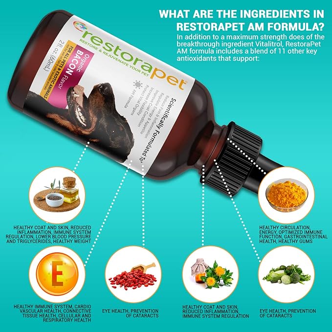 RestoraPet 4-Pack Dog & Cat Beef Liquid Multivitamin | Dog Arthritis Pain Relief | Hip & Joint Vitamins for Dogs - Anti Inflammatory Supplement for Dogs & Cats | Organic & Non-GMO, Vet Approved