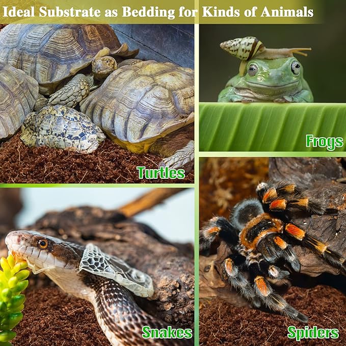 ZeeDix 6 Pack Coconut Fiber Substrate, 100% Organic Coconut Husk Coco Coir Brick Terrarium Bedding for Reptiles, Tortoise, Bearded Dragon, Leopard Gecko, Snake, Hermit Crabs, Frogs, Tarantula