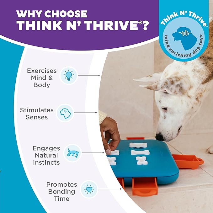Outward Hound by Nina Ottosson Dog Casino Treat Puzzle Enrichment Toy, Level 3 Advanced, Turquoise