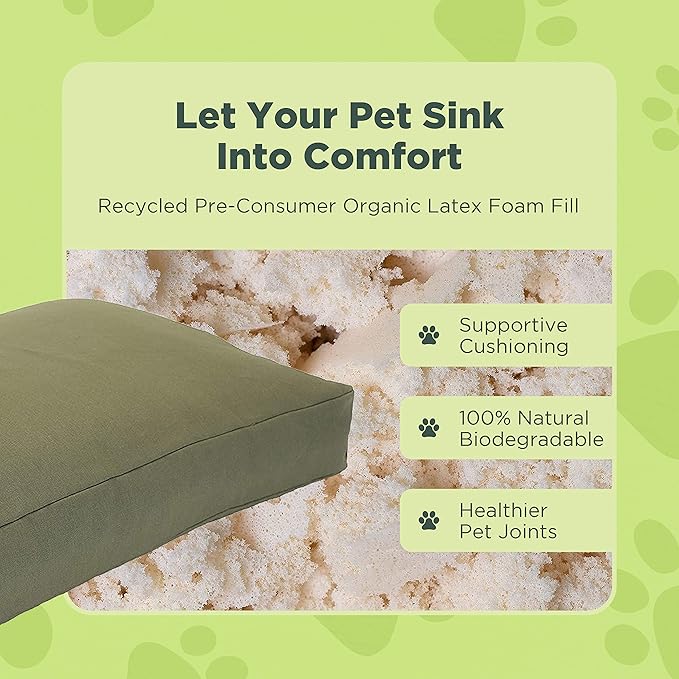 Medium - 36 x 24 x 5 - Cactus Premium Org Hemp Dog Bed - Organic Latex Fill - Removeable Cover