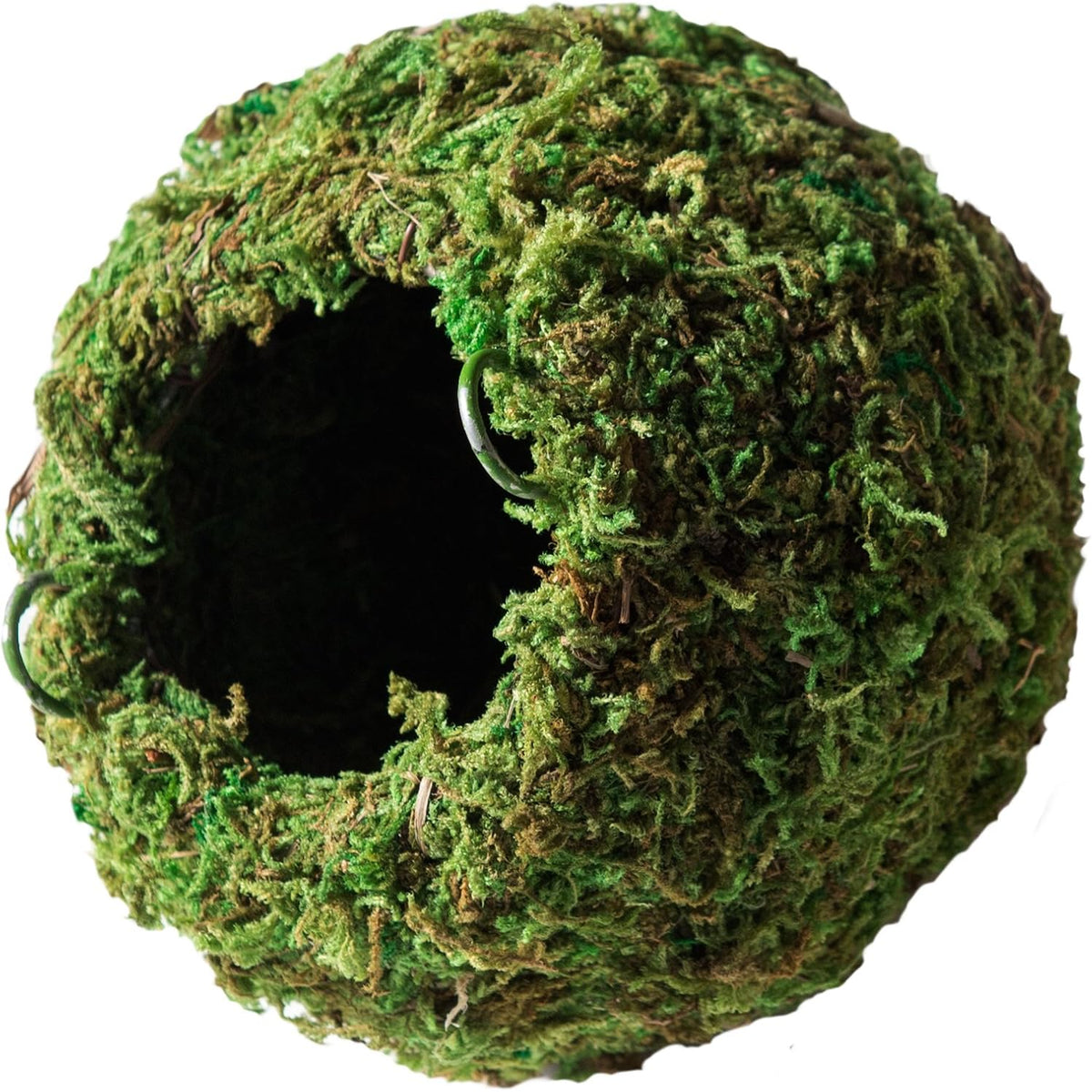Galápagos (05346) Mossy Cave Hide, 4", Green