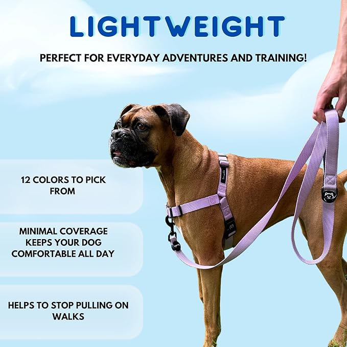 ShawnCo Dream Walk No-Pull Dog Harness- Adjustable, Comfortable, Easy to Use Pet Halter to Help Stop Pulling for Small, Medium and Large Dogs (Oceanic Blue, S)
