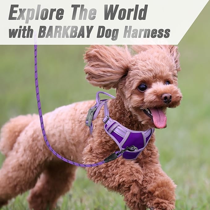 BARKBAY No Pull Dog Harness Front Clip Heavy Duty Reflective Easy Control Handle for Large Dog Walking(Violet Purple & Purple,S)