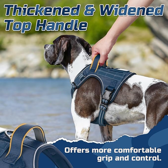 rabbitgoo Dog Harness No Pull, Military Dog Harness Medium Sized Dog with Handle & Molle, Easy Control Service Dog Vest Harness Training Walking, Adjustable Reflective Tactical Pet Harness, Blue, M