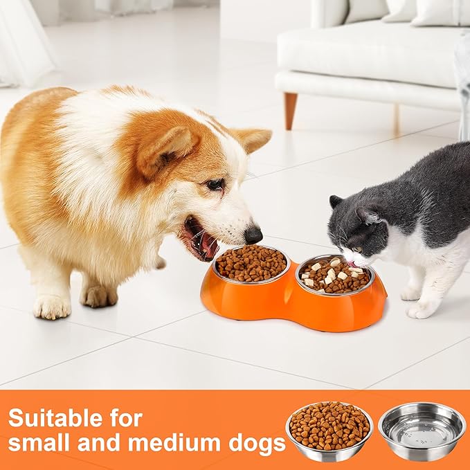 Elevated Dog Bowls Set - Non-Slip Raised Pet Feeder with Medium (10 oz) & Large (20 oz) Stainless Steel Bowls - Includes Durable Resin Stand for Puppies, Adult Dogs & Cats - Orange