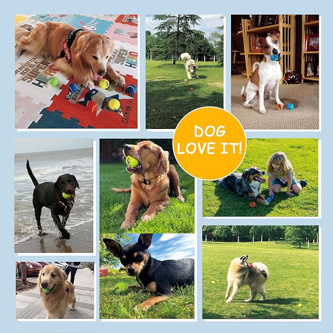 Tennis Balls for Dogs - Bulk 50 Pack 2.5'' Durable Non-Toxic Outdoor Dog Toys Balls with Mesh Bag, SGS Certified, Colorful Fetch Toys, Medium Large Breeds (Non Squeaky)