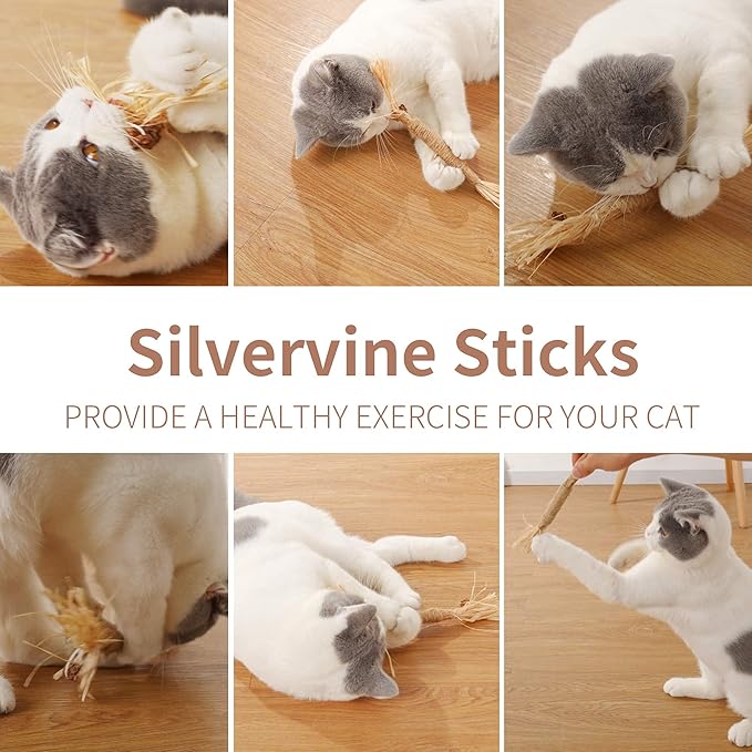 PAZ'S GIFT Catnip Toy Cat Toys Catnip Toy cat chew Toy cat Kicking silvervine Stick Teeth Cleaning Cute Kitten Teething Indoor Interactivecat Dental Care Matatabi (Raffia 2pcs)