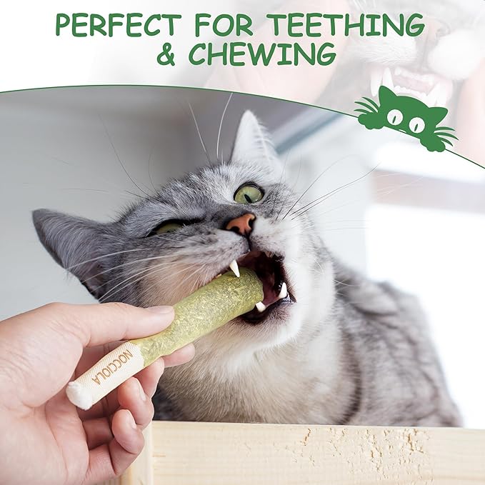 Nocciola 3 Pack Catnip Toys for Cats, Funny Cat Toys Filled with 100% Pure Organic Catnip, Safe Kitten Teething Chew and Kicker Toys, Stress Relieving Fun for Indoor Cats