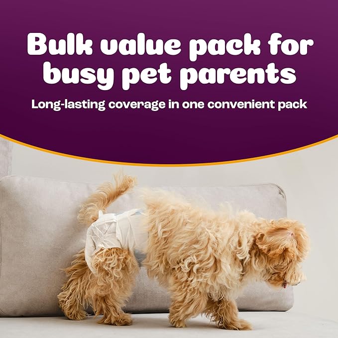Inspire Pet Care Dog Diapers Female Dogs | Bulk Value Doggie Incontinence, Accidents, for Heat, Pee or Period and Housebreaking (Small (100 Count))