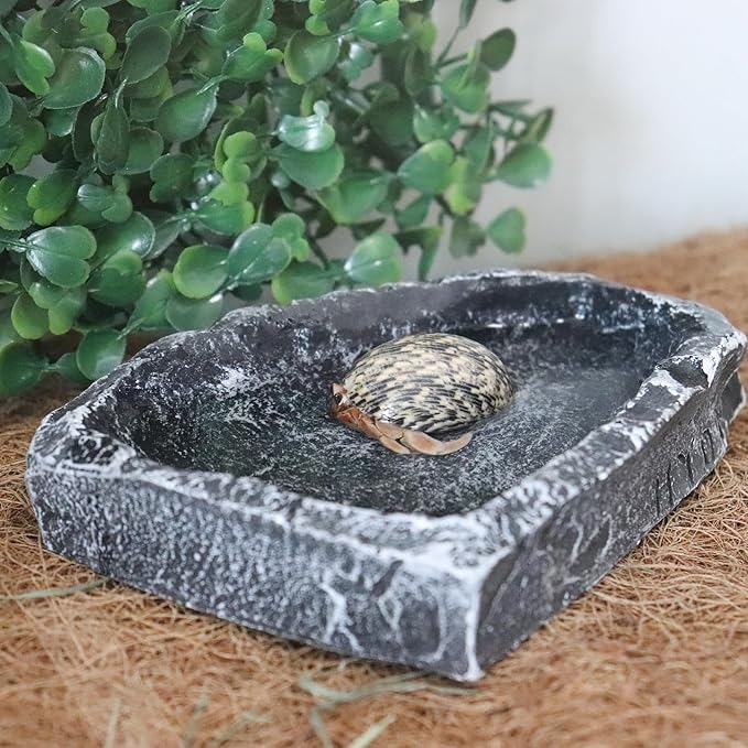 3 Pack Resin Reptile Dish for Food and Water, Hermit Crab Accessories, Hermit Crab Supplies, Hermit Crab Water Bowl, Habitat Accessories for Hermit Crab, Bearded Dragon, Gecko, Tortoise