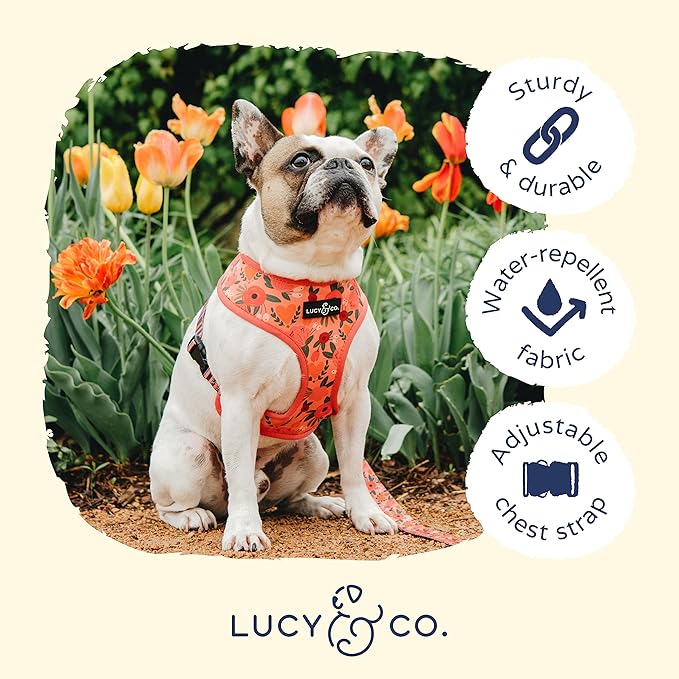 Lucy & Co. Reversible Dog Harness Walking Halter - Best Designer Pet Harnesses for Extra Small Medium Large XL Dogs Plus Pug Breeds - Padded Adjustable Puppy Vest (X-Small, Posy Pink)