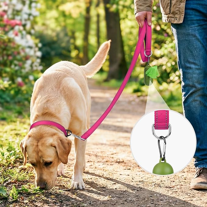 Joytale Dog Leash, 6 FT Double-Sided Reflective, Padded Handle Nylon Heavy Duty Leashes for Medium & Large Dogs Walking, Hotpink