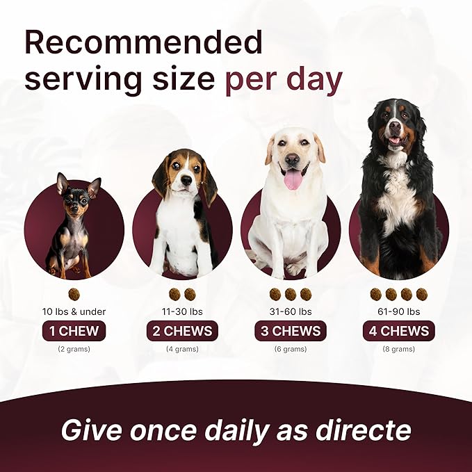 Hip & Joint Supplement for Dogs – Mobility Support with Glucosamine, Chondroitin, MSM, Turmeric, Mussel, Hemp Dog Joint Pain Relief – 120 Soft Chews for Large, Medium, Small Dogs Breeds– Beef Flavor