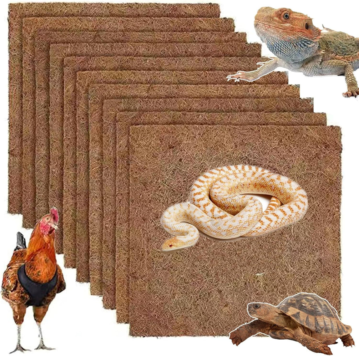 10Pcs Reptile Substrate Mat Carpet Chicken Nest Mat 30 * 30cm Natural Coconut Fiber Pet Mat Substrate Liner Terrarium Planter Liner for Lizard Turtle Snake Gecko Bearded Dragon Tortoise