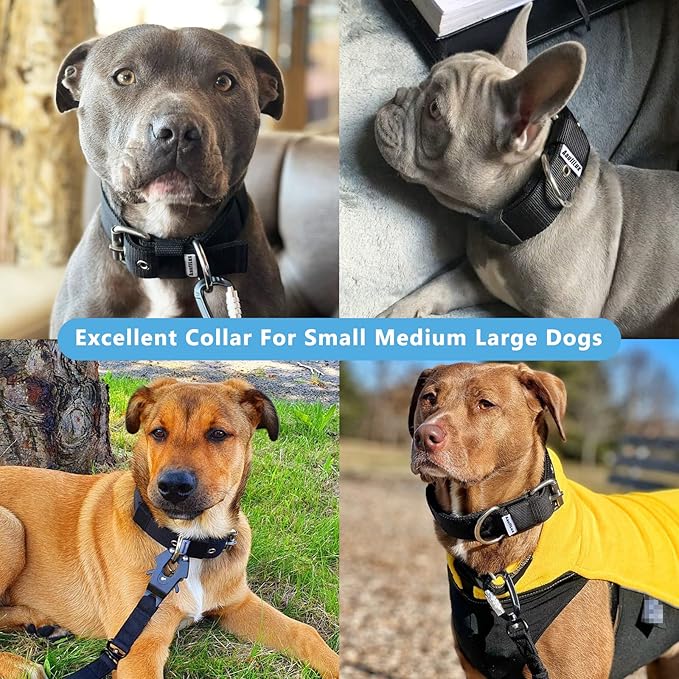 Heavy Duty Tactical Dog Collar - 1.5" Width Military Durable Thick Nylon with Adjustable Metal D Ring & Buckle Working Training K9 Collar for Medium Large Dogs (S(14"-17"), Black)