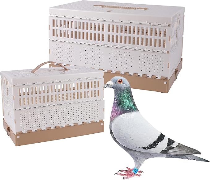 Plastic Foldable Pigeon Cage with Handle, Portable Bird Travel Carrier Cage Pigeon Cage Pairing Cage Pigeon Nest Box Easy to Clean for Training and Release Competition(M)(Three Doors)
