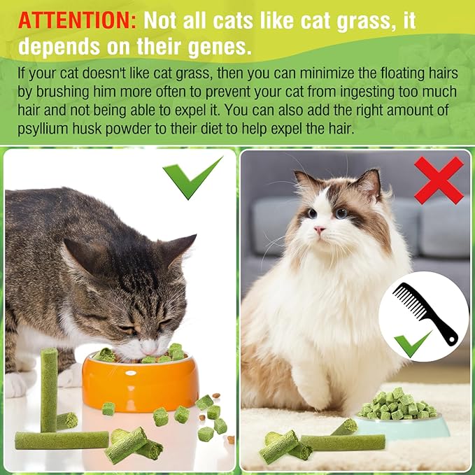 HavenJanny 100g Cat Grass Teething Stick, Freezed Drying Cat Grass Sticks Snacks for Cats, Edible Cats Treats for Teeth Cleaning and Hairball Removal