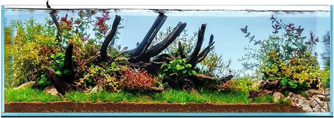 UNS Ultra Clear Rimless Tank - 21.3GAL | 81L - 35.43x11.81x11.81 | 90x30x30 CM, 8mm Glass Thickness, Leveling Mat Included - Low Iron, High Clarity Fish Tank w/ 45° Mitered Edge - [90L]