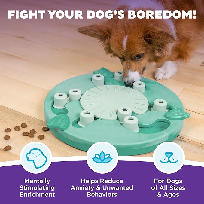 Outward Hound by Nina Ottosson Dog Worker Treat Puzzle Enrichment Toy, Level 3 Advanced, Green