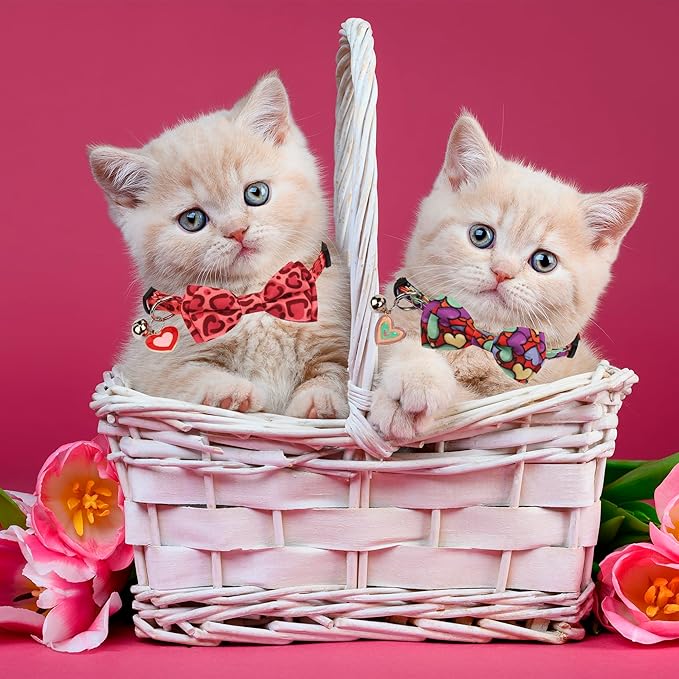 ADOGGYGO Valentine Cat Collar with Removable Bow Tie Bell - 2 Pack Holiday Valentine Heart Collar for Cat Kitten