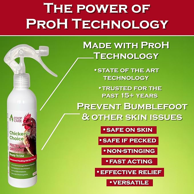 Chicken's Choice Wound Care for Chickens & Birds. Advanced Wound Care Spray for Poultry. Works for Bumblefoot, Vent Prolapse, Pecking Sore, Burns & Skin Irritations. 8 oz Ready to Use Spray