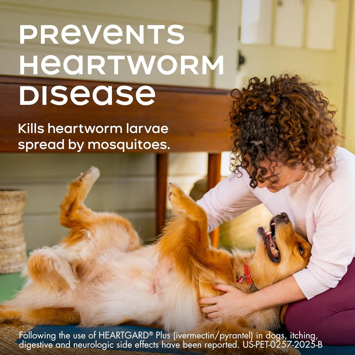 HEARTGARD® Plus (ivermectin/pyrantel) Real-Beef Chewables for Dogs 26-50 lbs (Green Box) 1 Month Supply of Chews (Heartworm Disease Preventive)